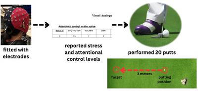 A new EEG neurofeedback training approach in sports: the effects function-specific instruction of Mu rhythm and visuomotor skill performance